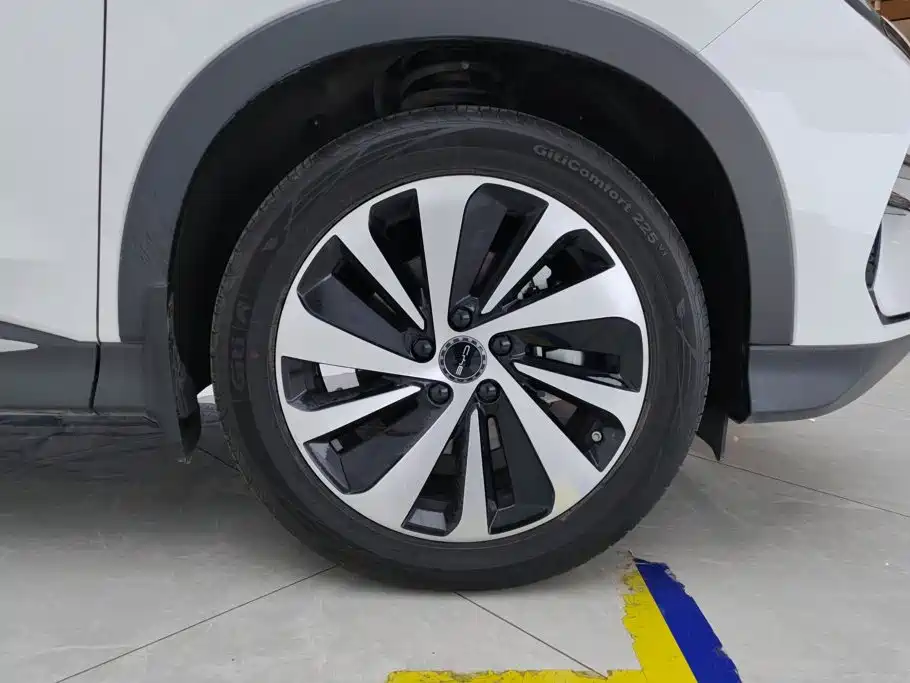 BYD PLUS New Energy — фото 6