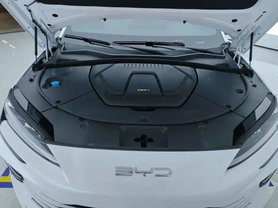 BYD PLUS New Energy — фото 10