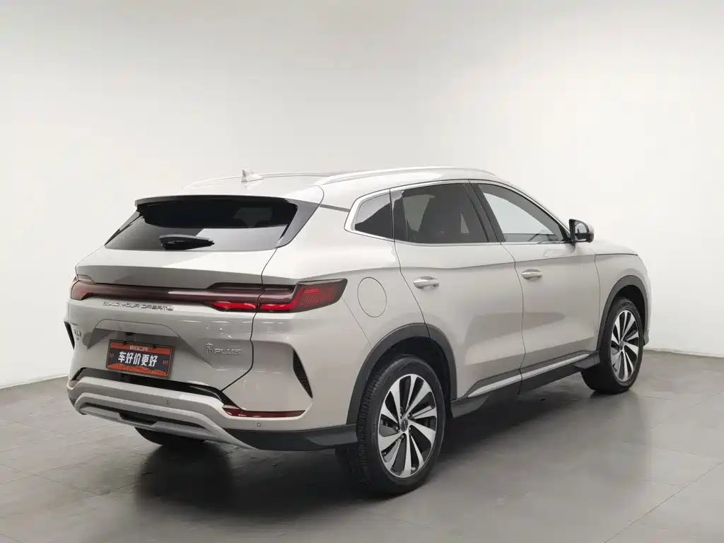 BYD PLUS New Energy — фото 2