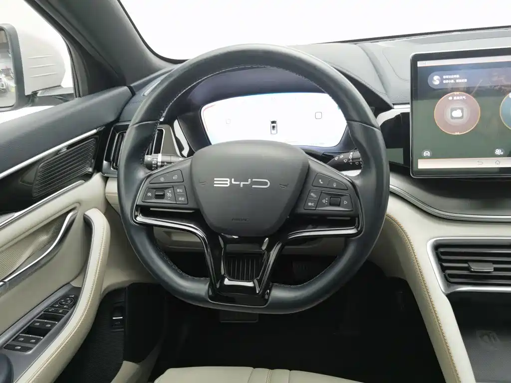 BYD PLUS New Energy — фото 11