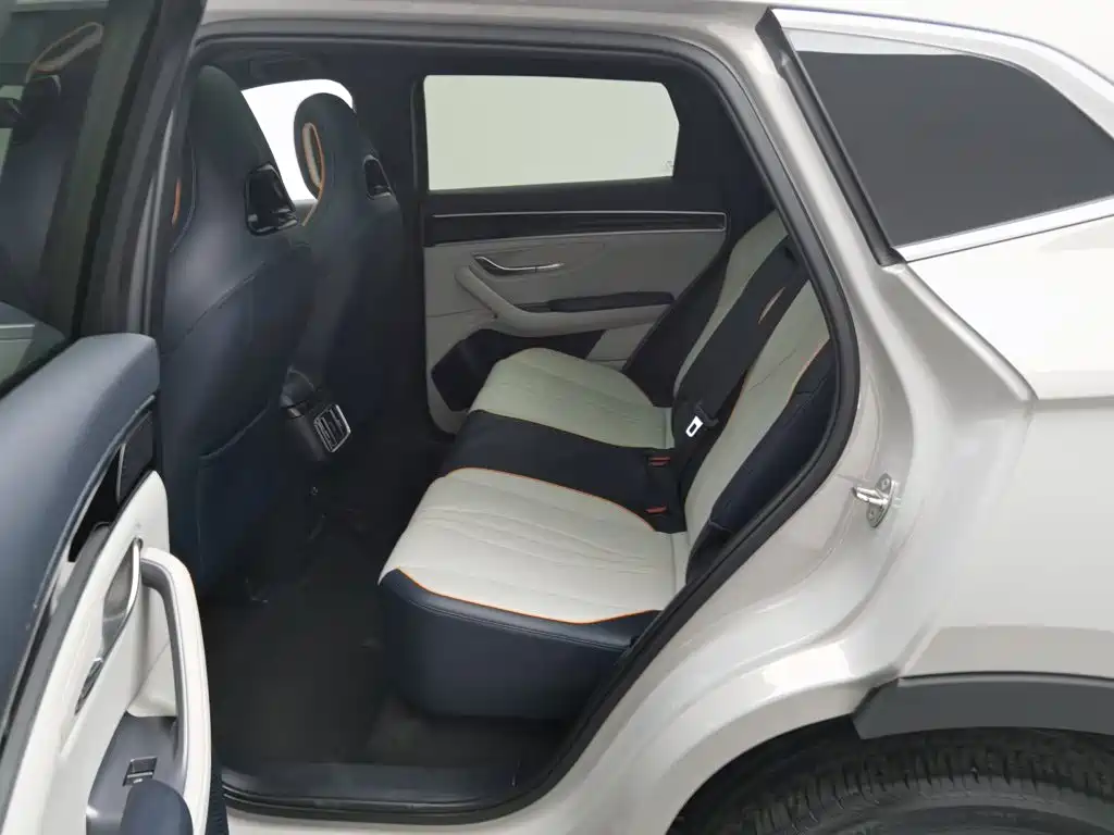 BYD PLUS New Energy — фото 15