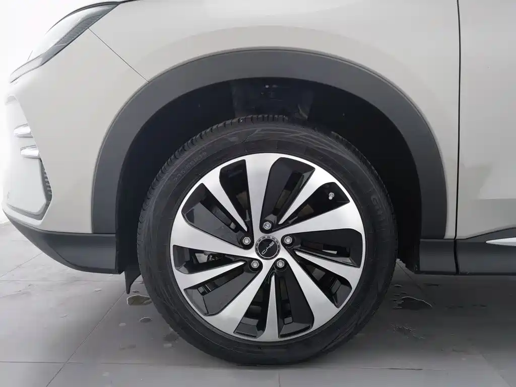 BYD PLUS New Energy — фото 17