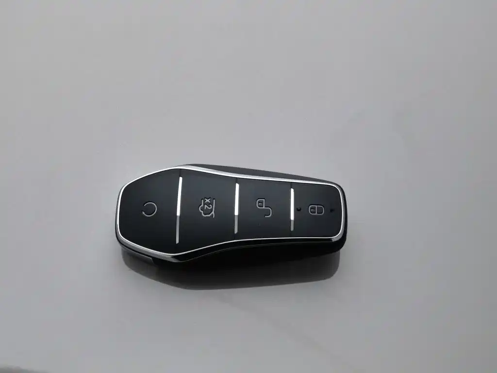BYD PLUS New Energy — фото 19