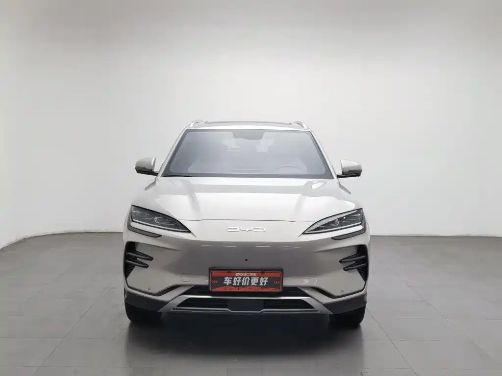 BYD PLUS New Energy — фото 3