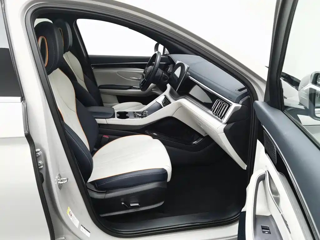 BYD PLUS New Energy — фото 23