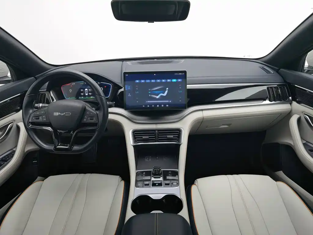 BYD PLUS New Energy — фото 5