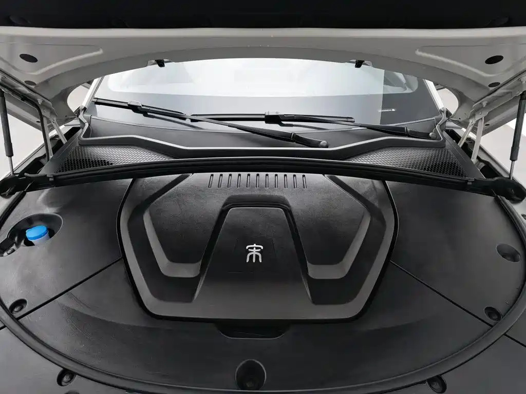 BYD PLUS New Energy — фото 6