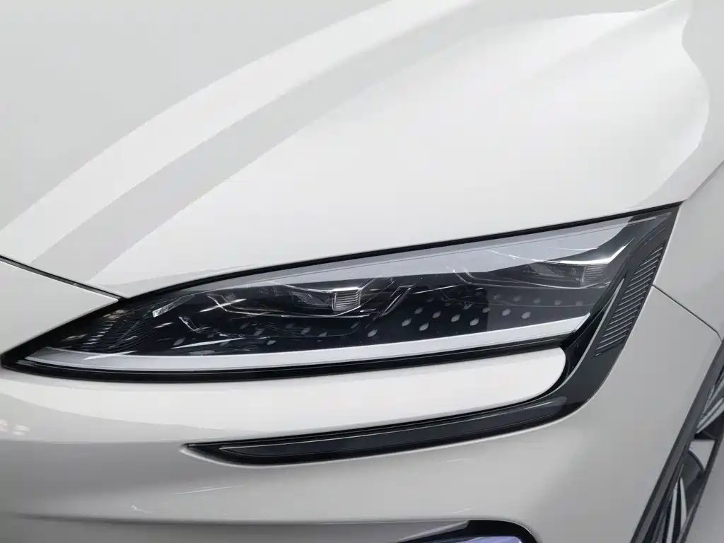 BYD PLUS New Energy — фото 7