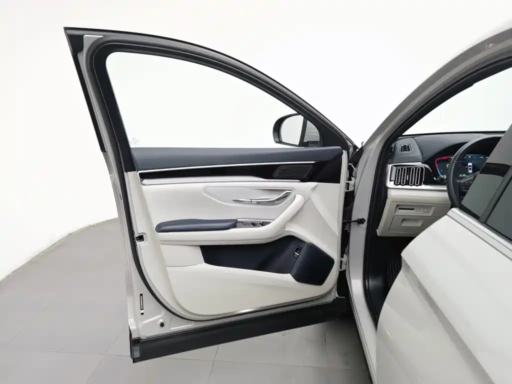 BYD PLUS New Energy — фото 8