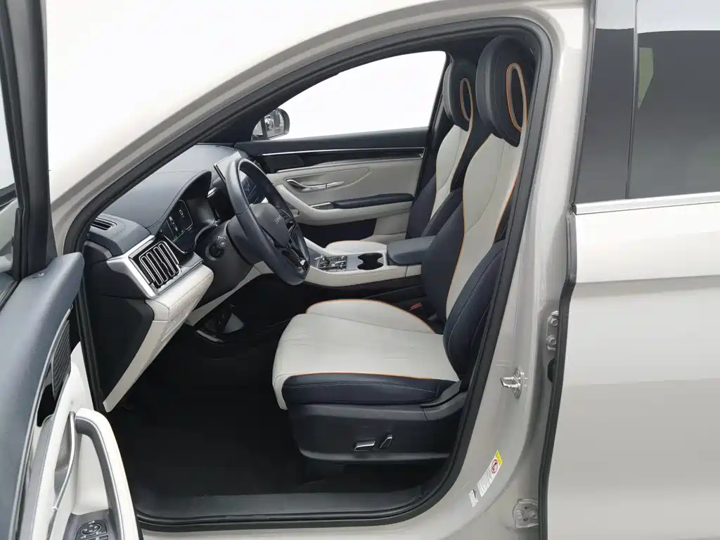 BYD PLUS New Energy — фото 10