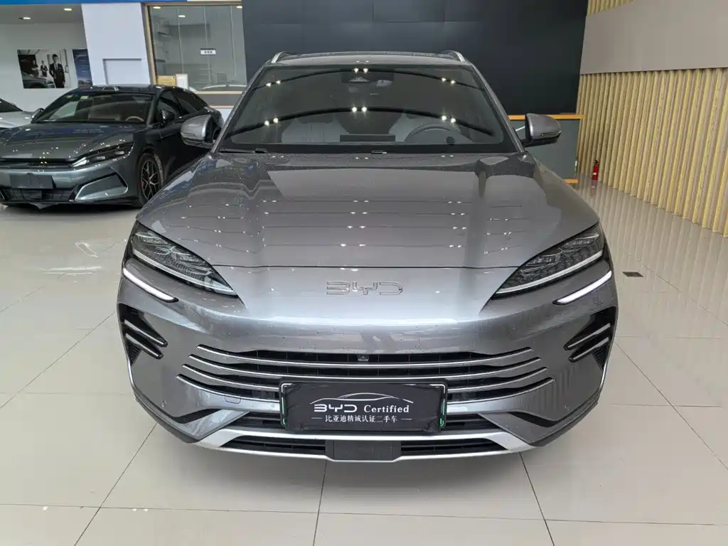 BYD PLUS New Energy — фото 2