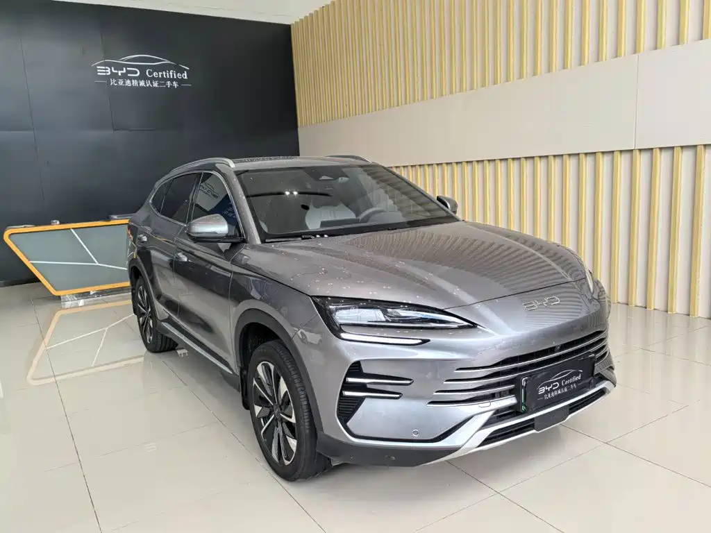 BYD PLUS New Energy — фото 3