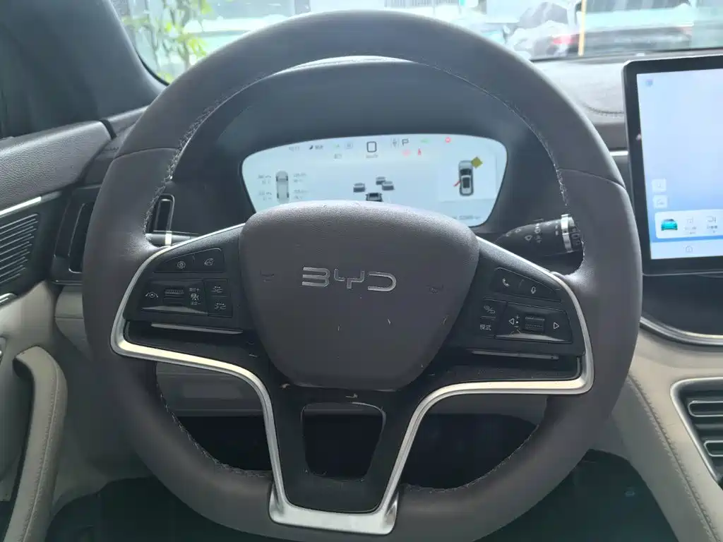 BYD PLUS New Energy — фото 9