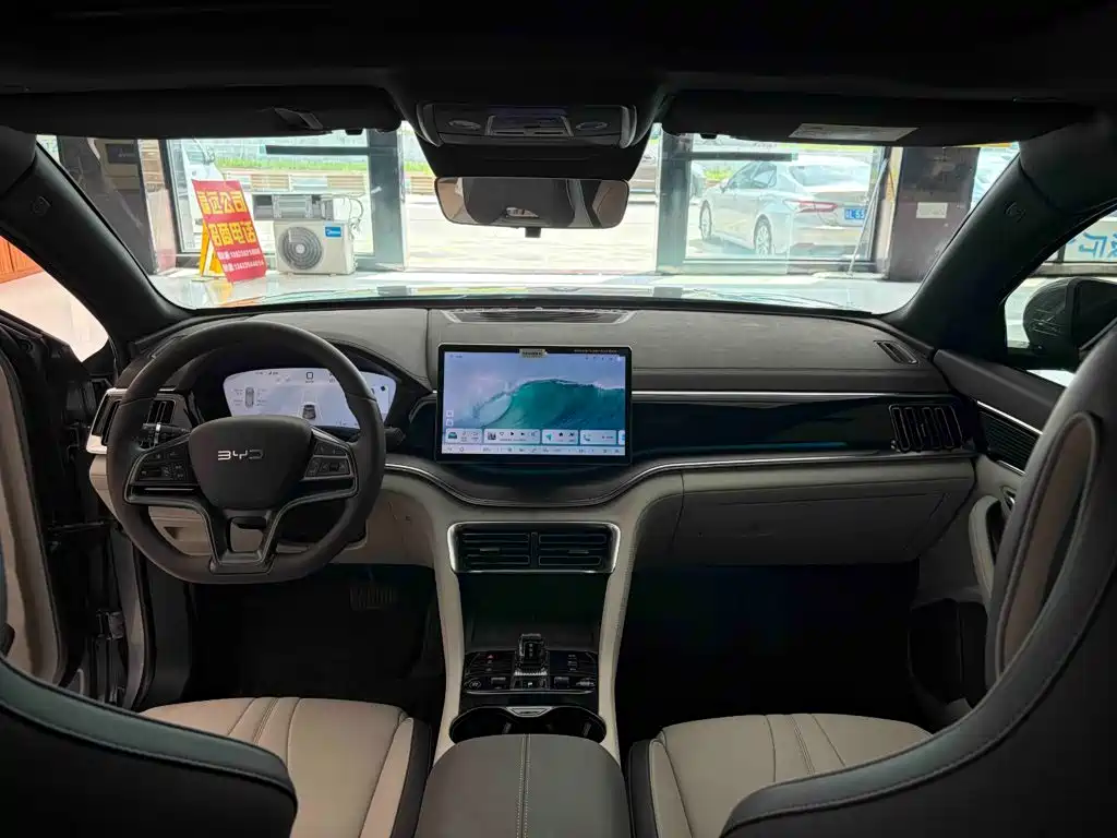 BYD PLUS New Energy — фото 11