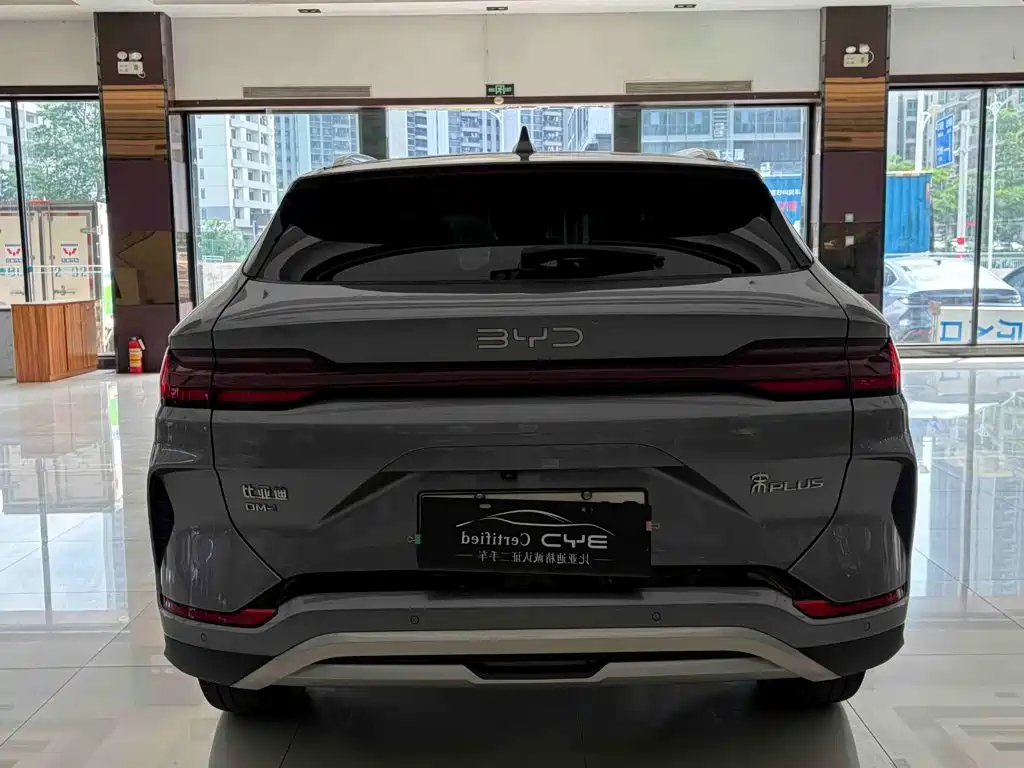 BYD PLUS New Energy — фото 14