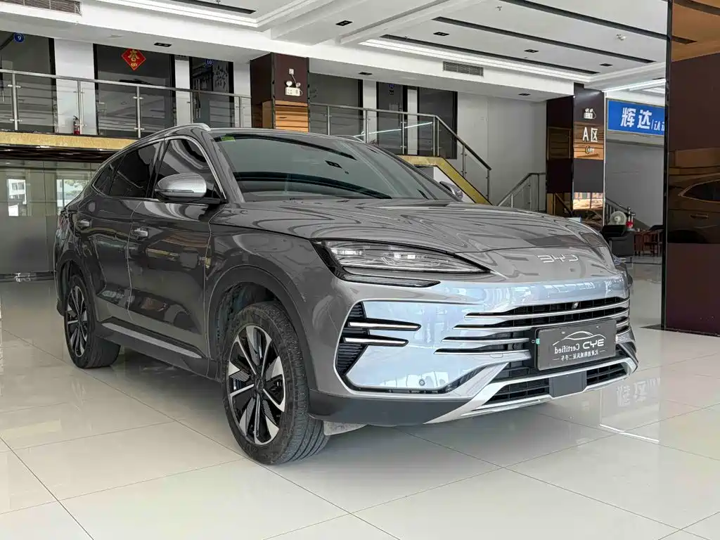 BYD PLUS New Energy — фото 3