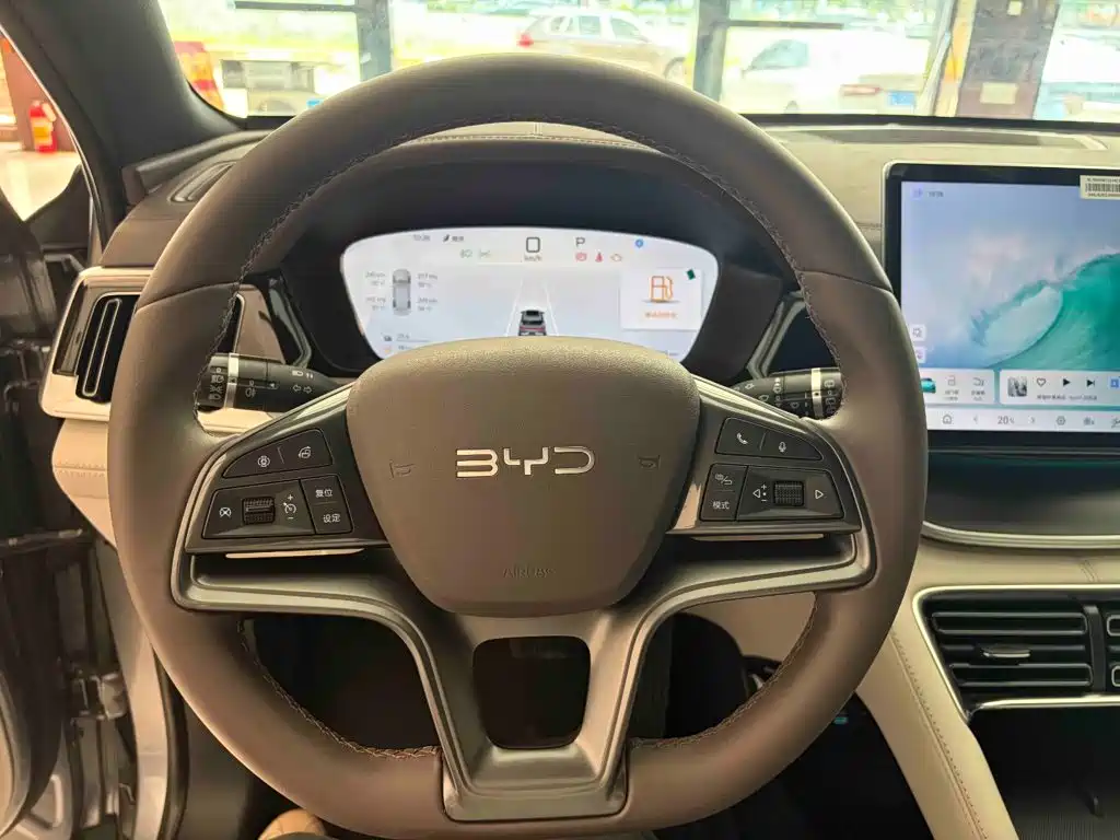 BYD PLUS New Energy — фото 9