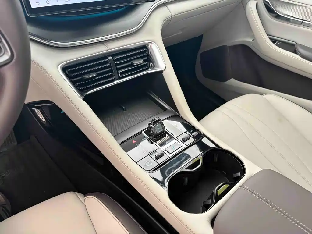 BYD PLUS New Energy — фото 10
