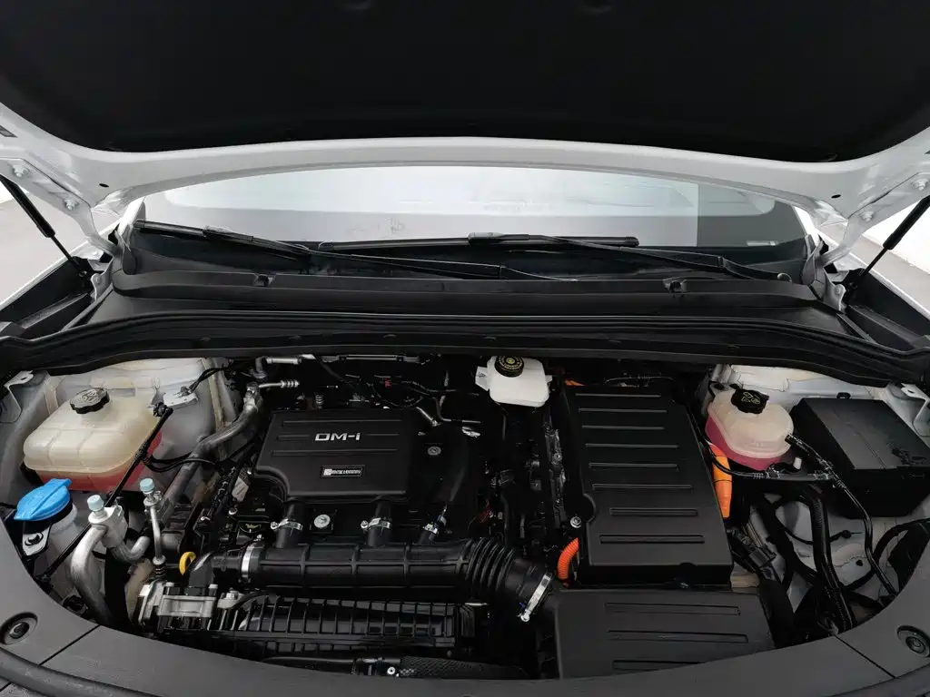 BYD L DM-i — фото 6