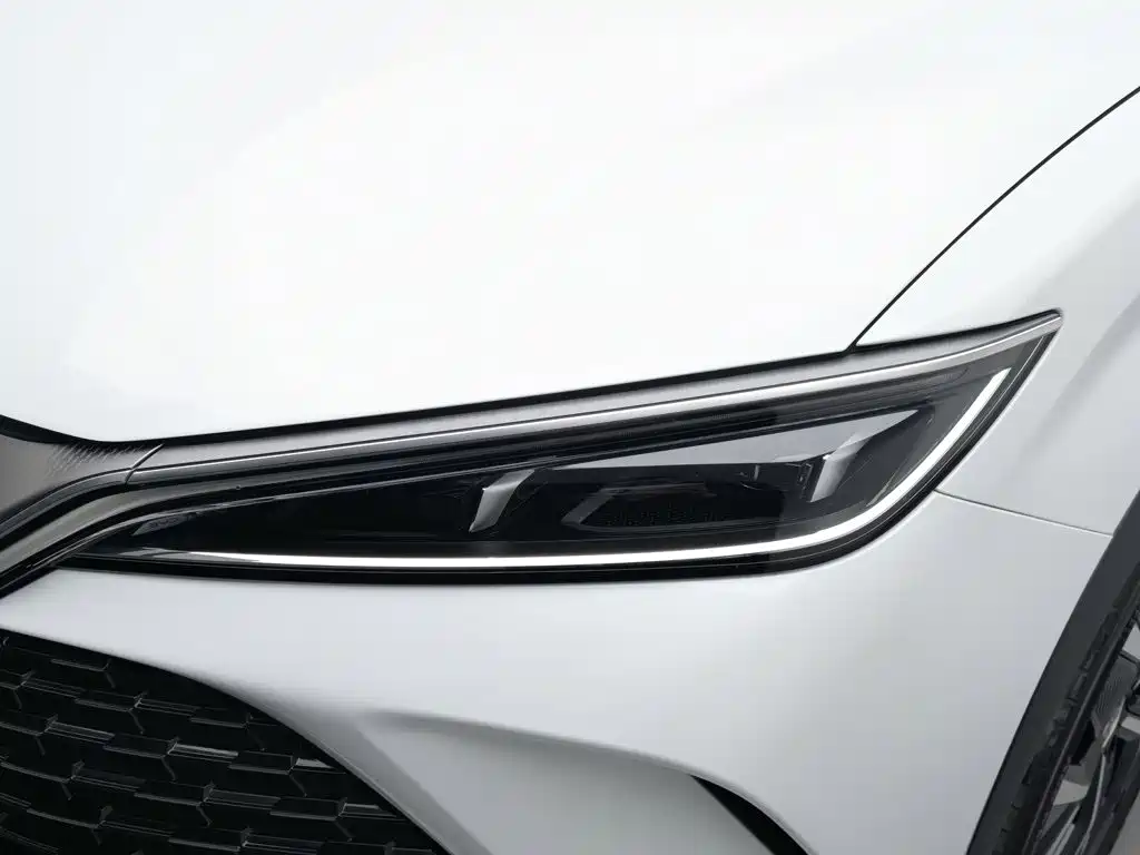 BYD L DM-i — фото 7