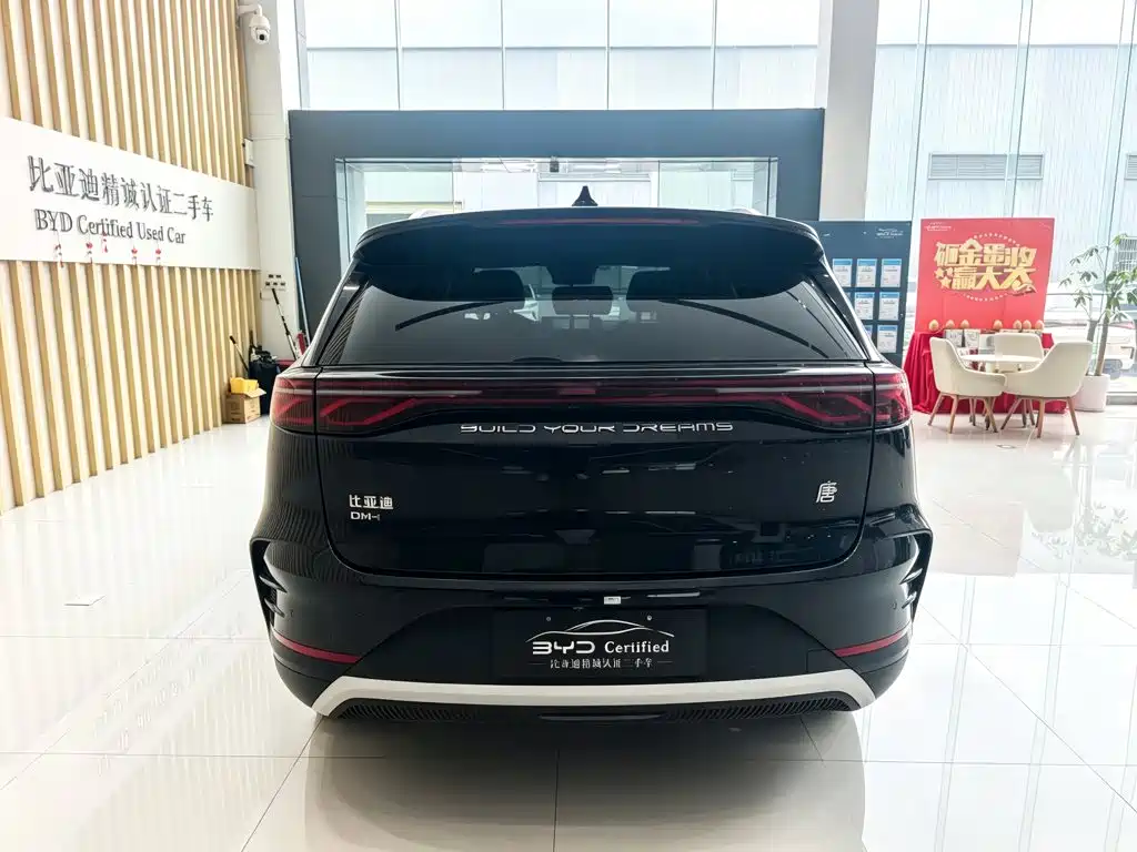 BYD Tang New Energy — фото 5