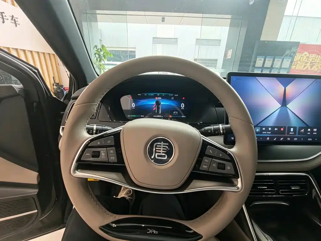 BYD Tang New Energy — фото 10