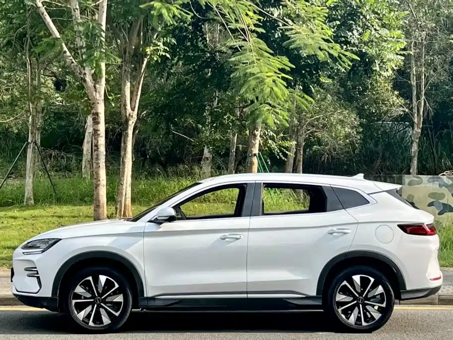 BYD PLUS New Energy — фото 3