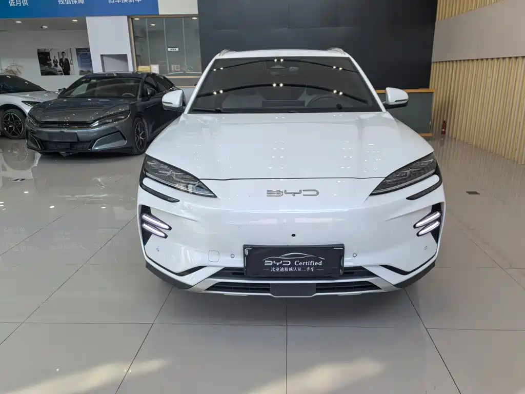 BYD PLUS New Energy — фото 2