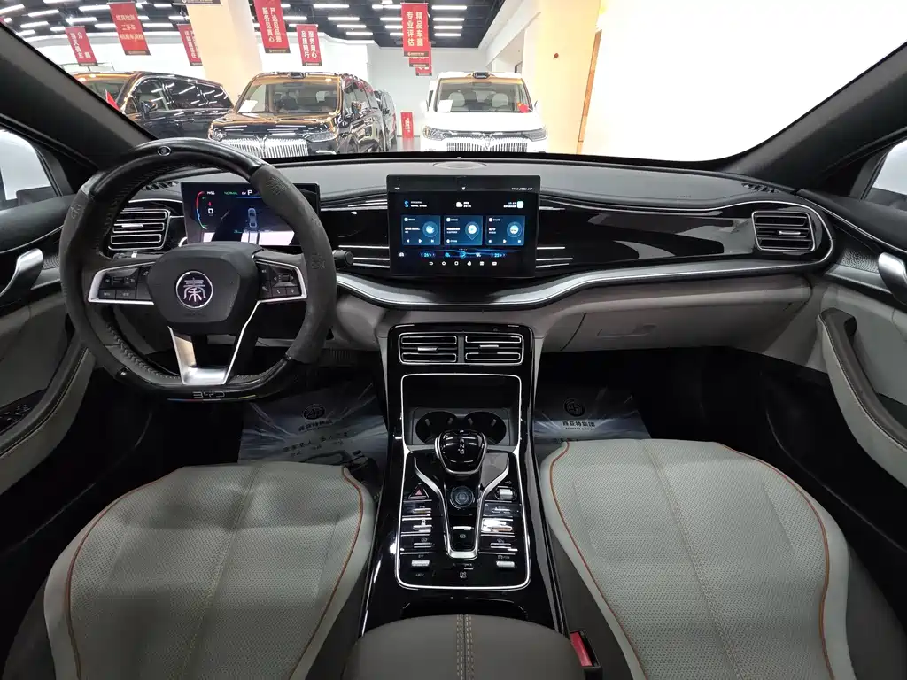 BYD Qin PLUS — фото 14