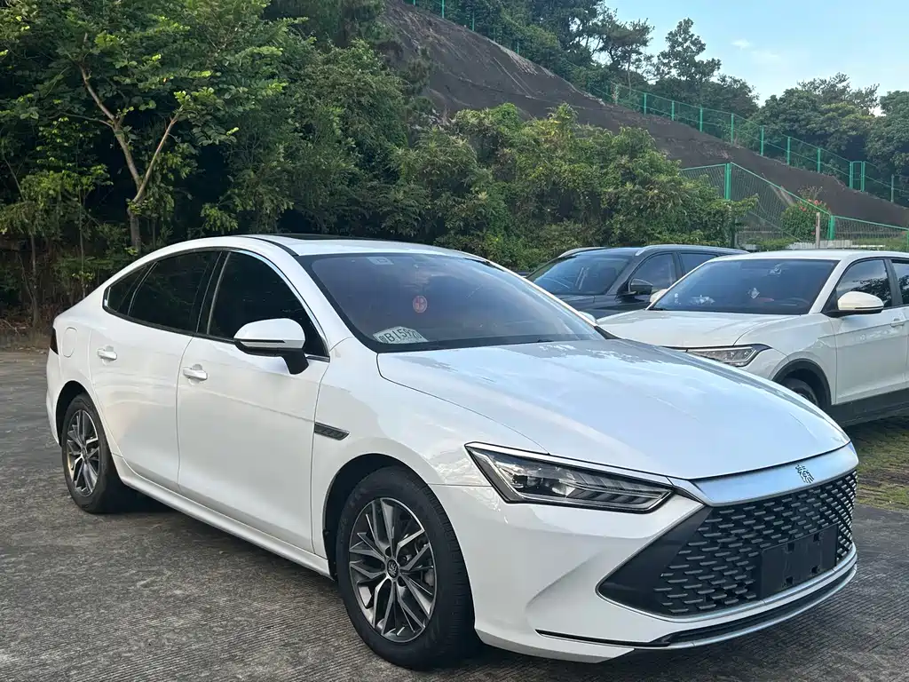 BYD Qin PLUS — фото 3