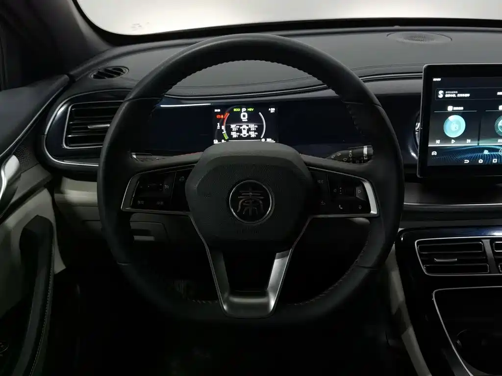 BYD Qin PLUS — фото 11
