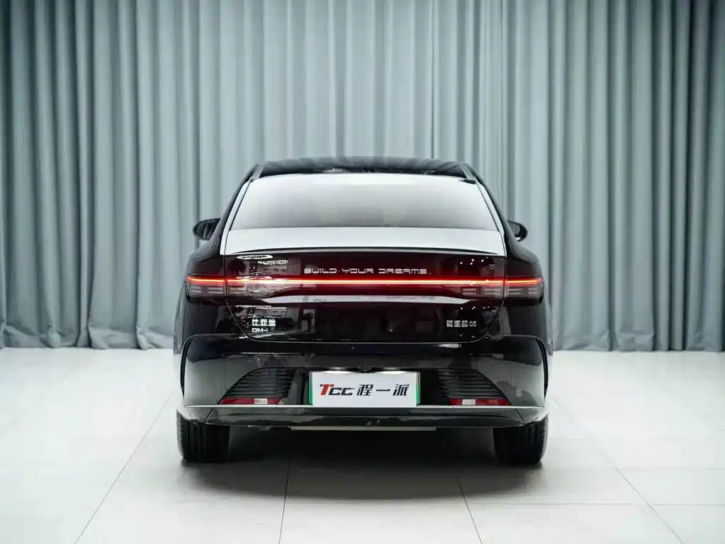 BYD Destroyer 05 — фото 10