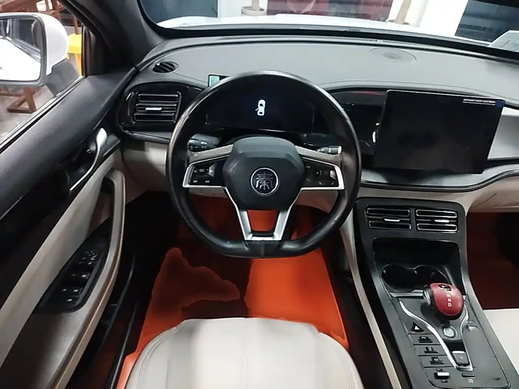 BYD Qin PLUS — фото 15