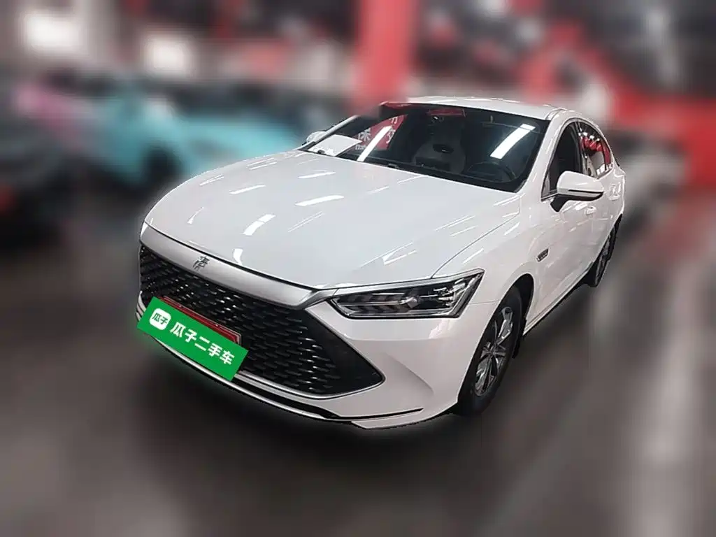 BYD Qin PLUS — фото 3