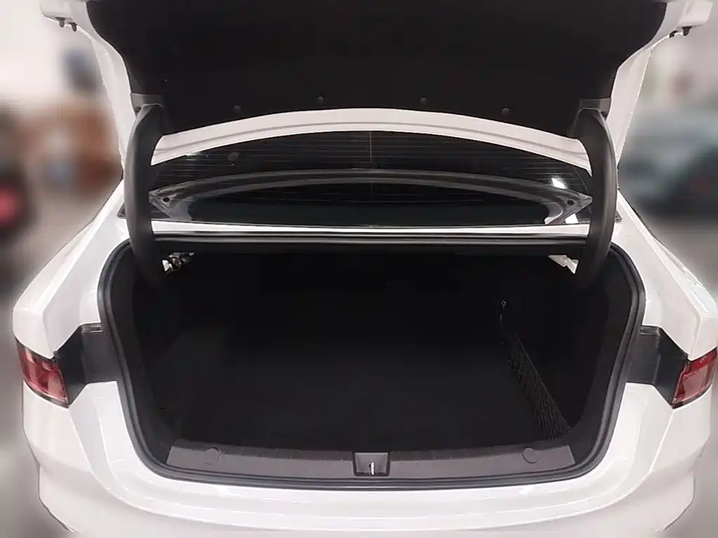 BYD Qin PLUS — фото 24