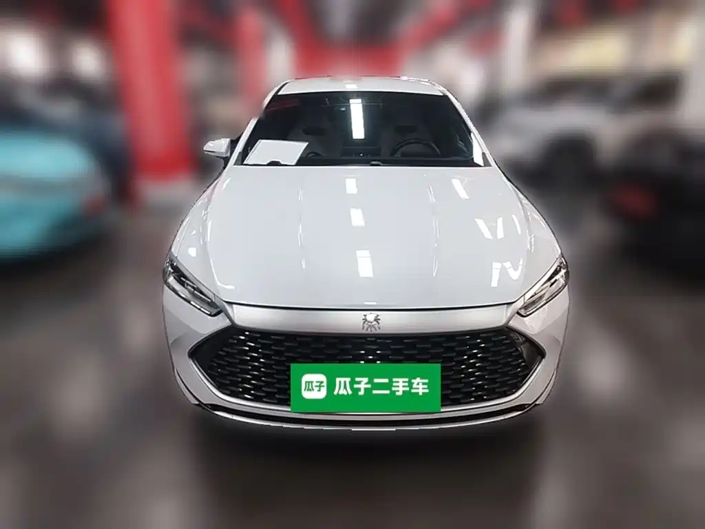 BYD Qin PLUS — фото 5