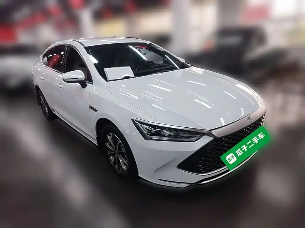 BYD Qin PLUS — фото 6