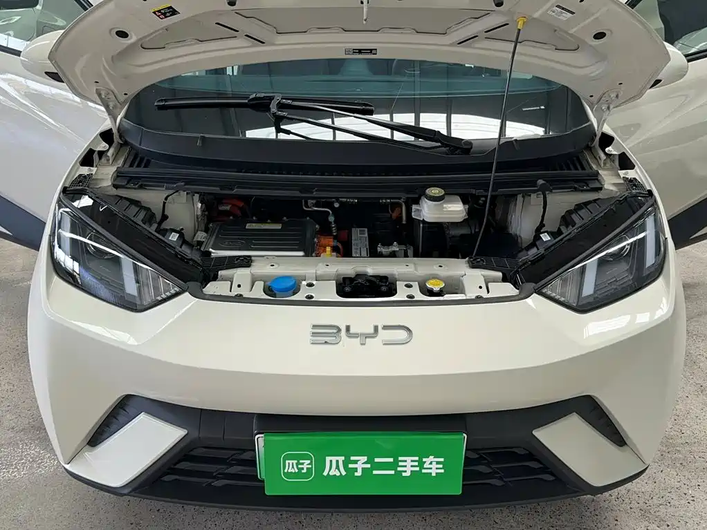 BYD Seagull — фото 20