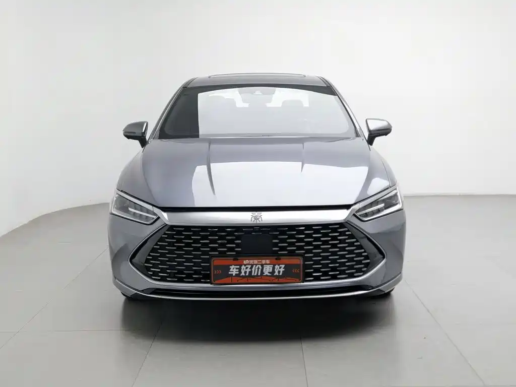 BYD Qin PLUS — фото 3