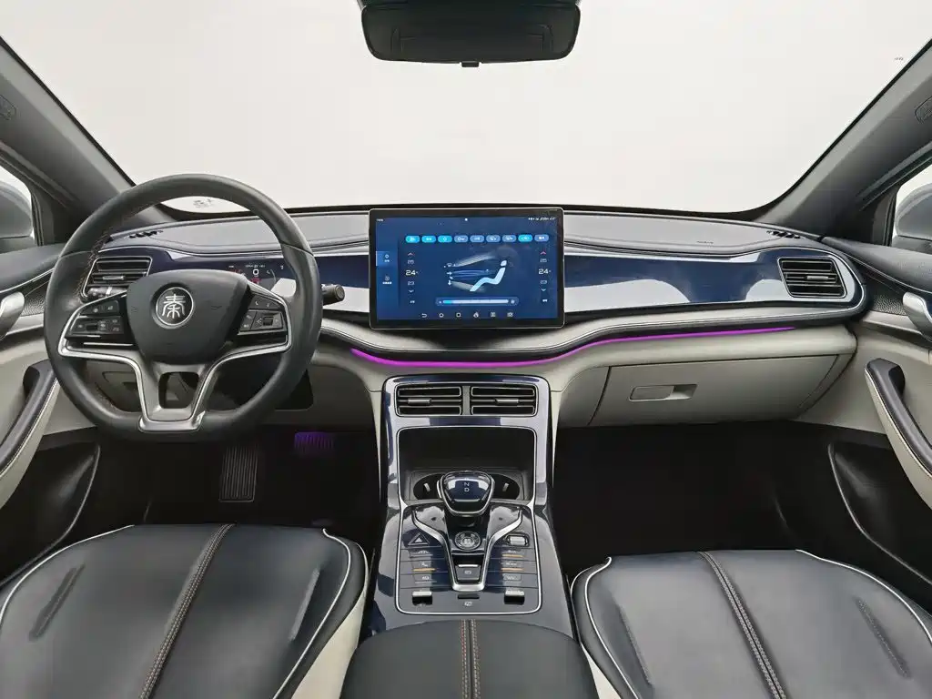 BYD Qin PLUS — фото 5