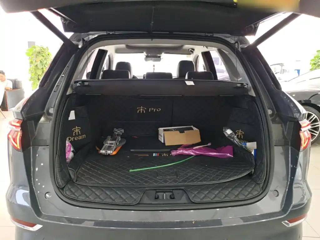 BYD Pro New Energy — фото 19