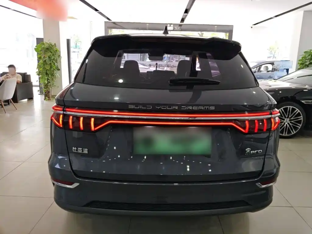 BYD Pro New Energy — фото 6