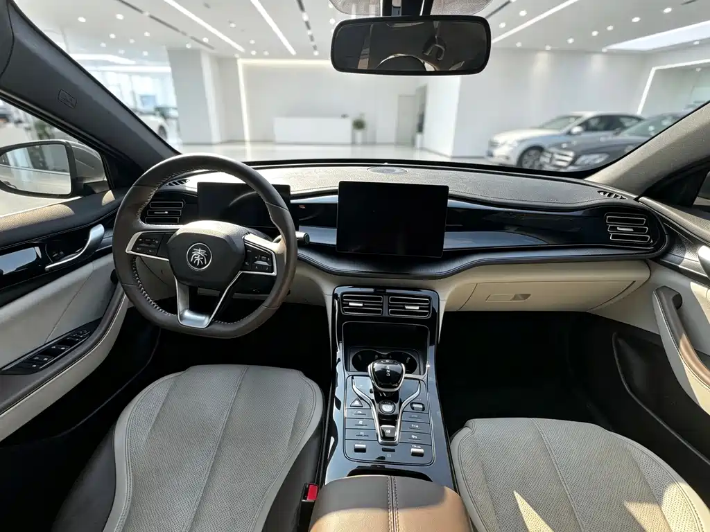BYD Qin PLUS — фото 6