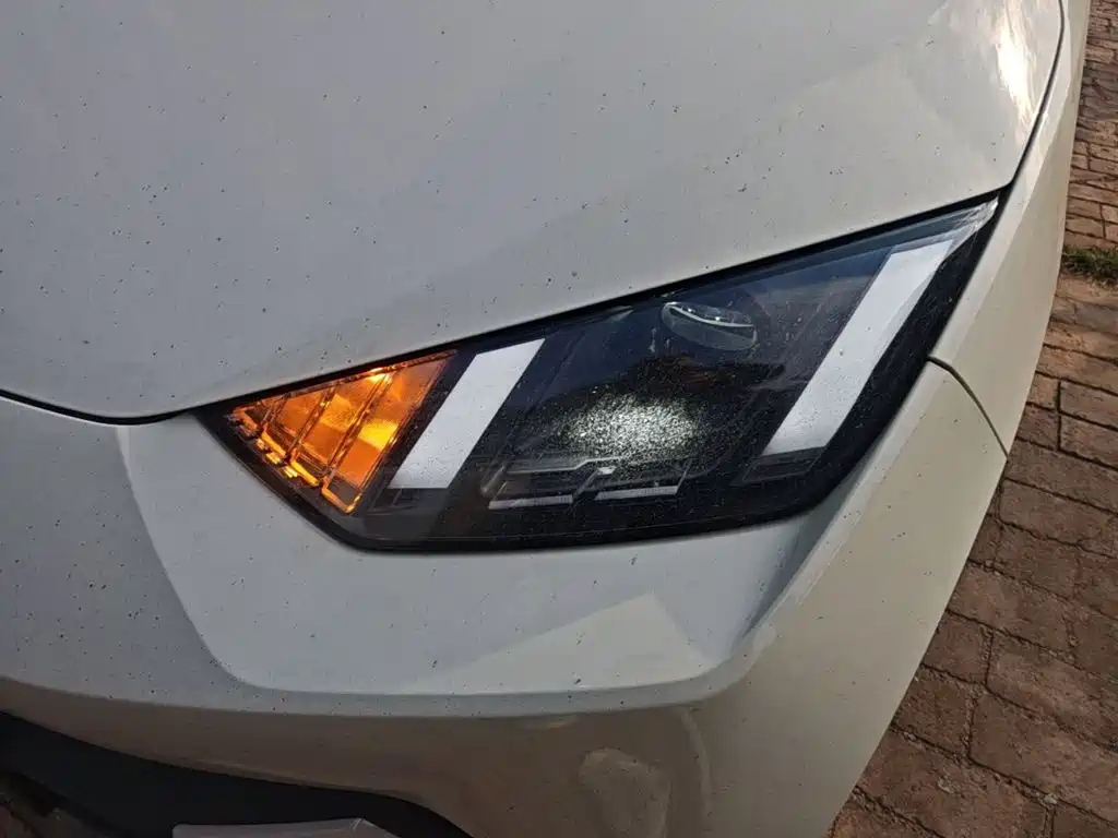 BYD Seagull — фото 24