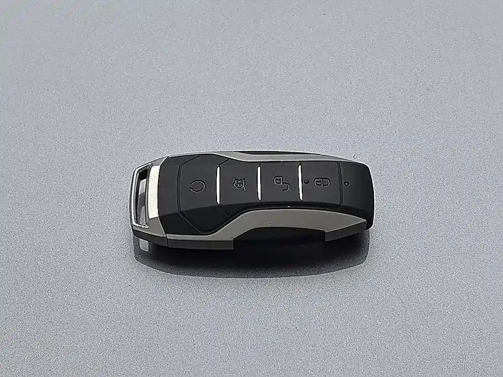BYD PLUS New Energy — фото 19