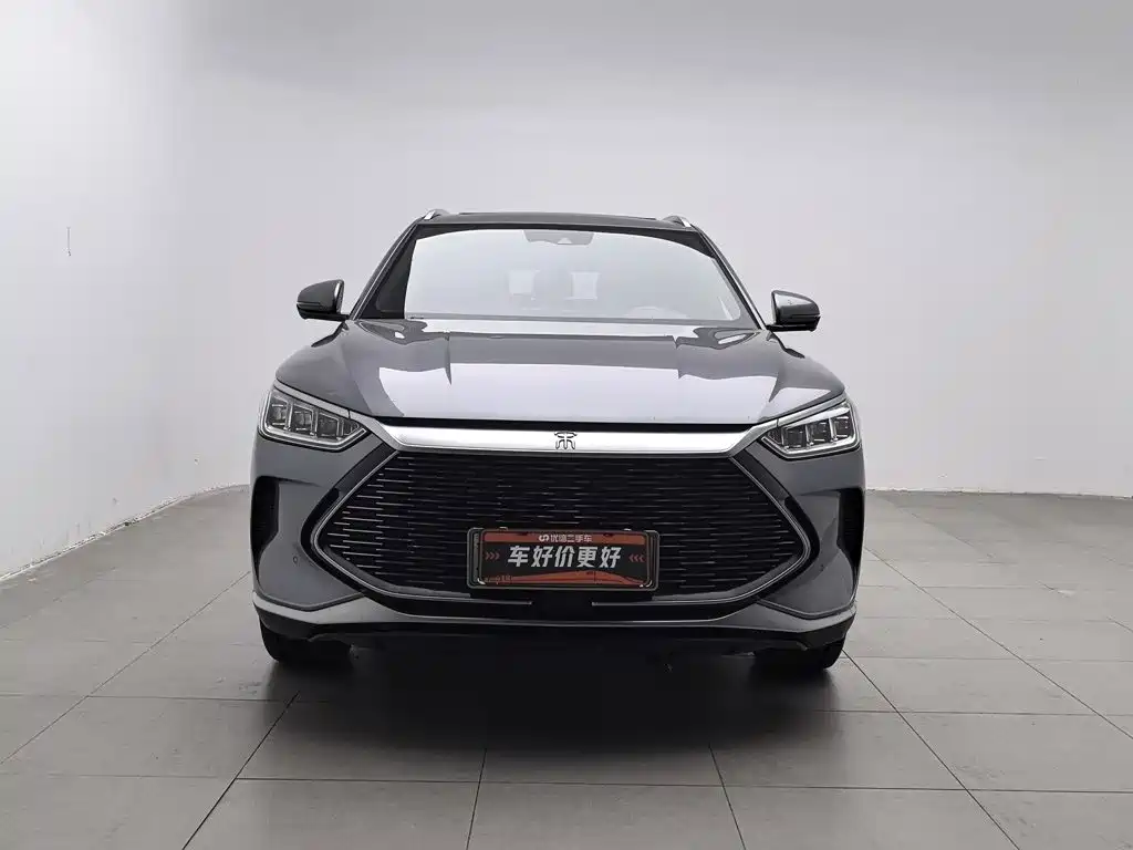 BYD PLUS New Energy — фото 3