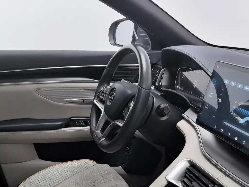 BYD PLUS New Energy — фото 22