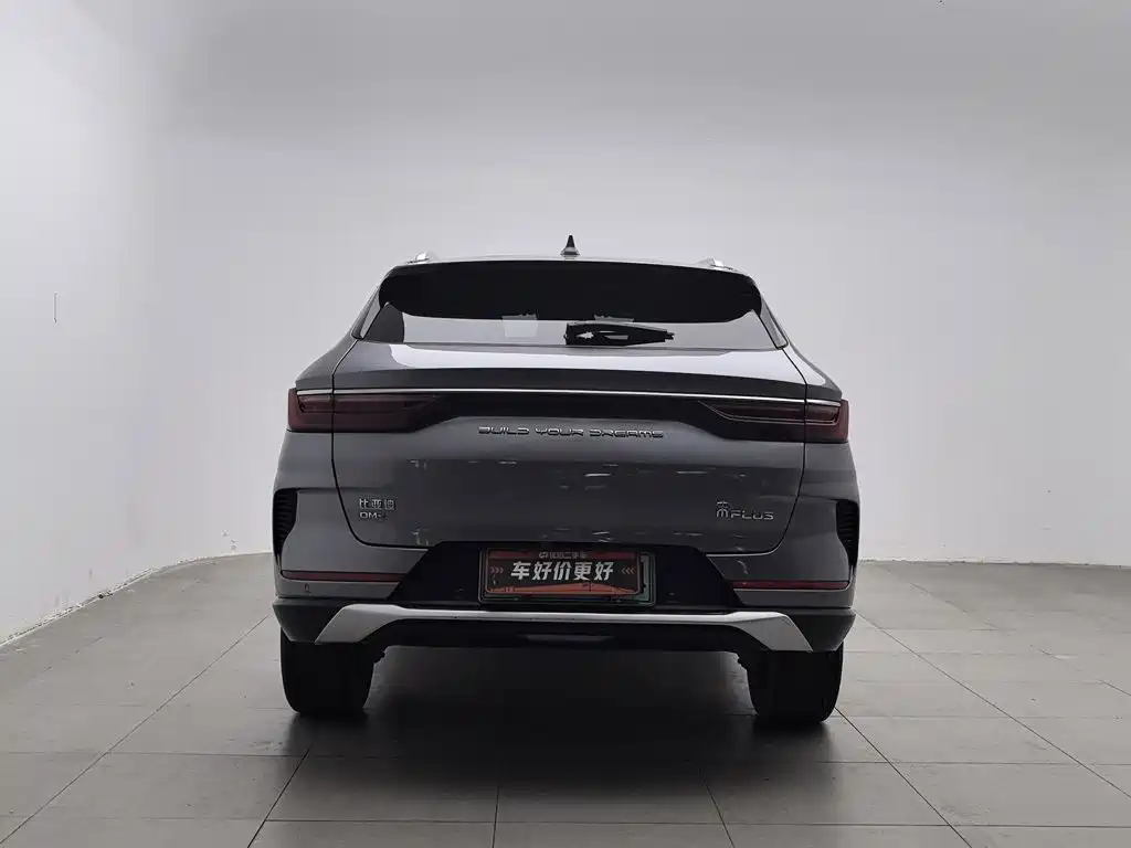 BYD PLUS New Energy — фото 4