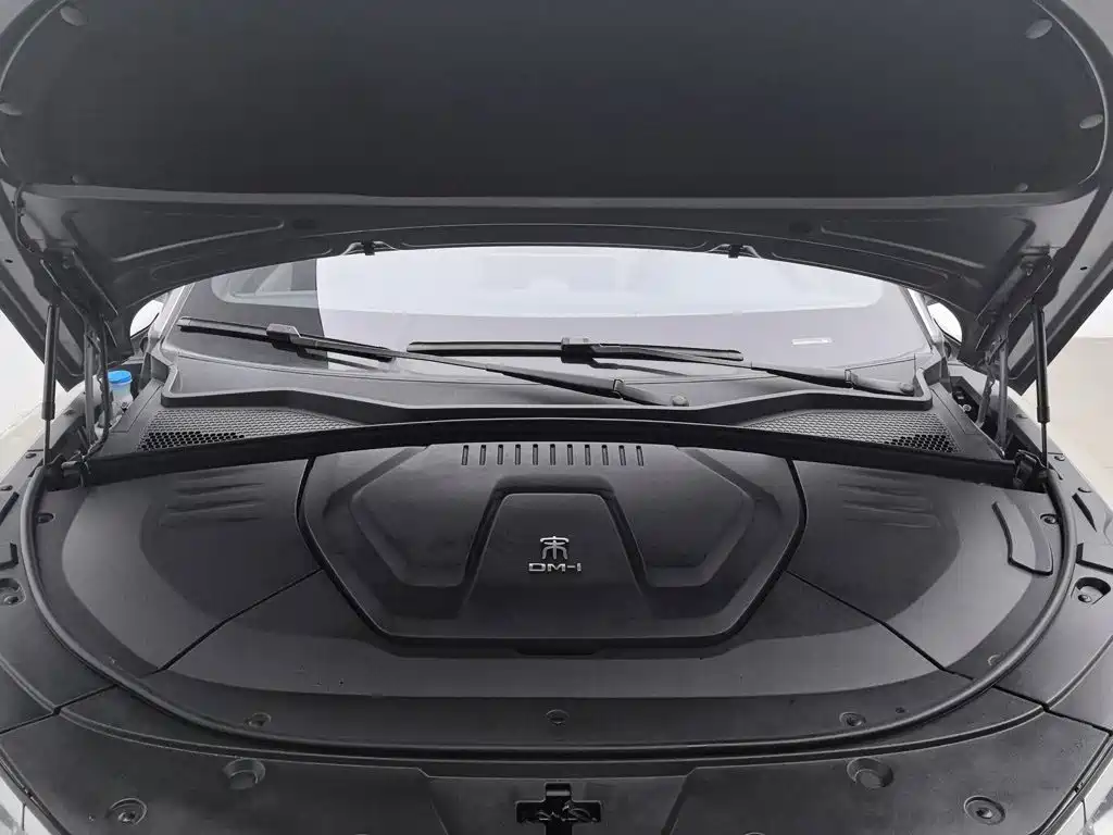 BYD PLUS New Energy — фото 6