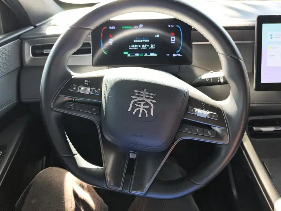 BYD Qin PLUS — фото 15